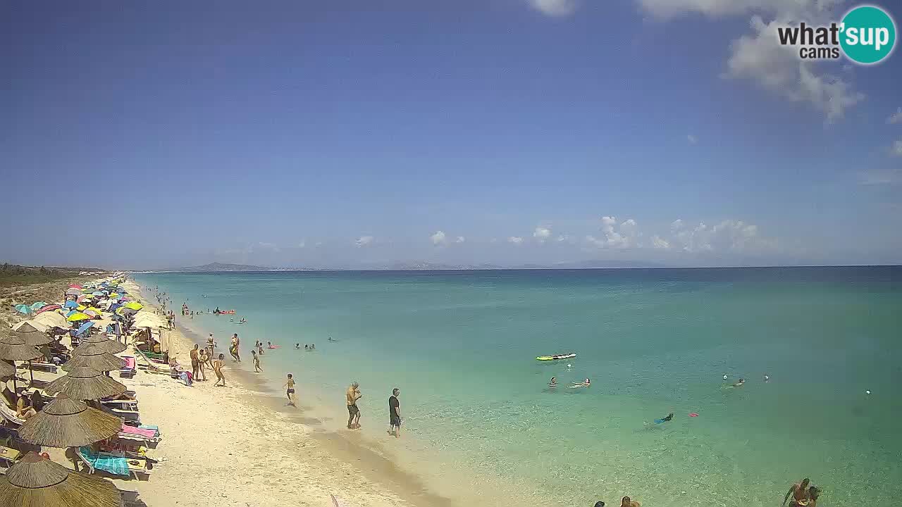 Strand Le Saline webcam Stintino – Sardinien