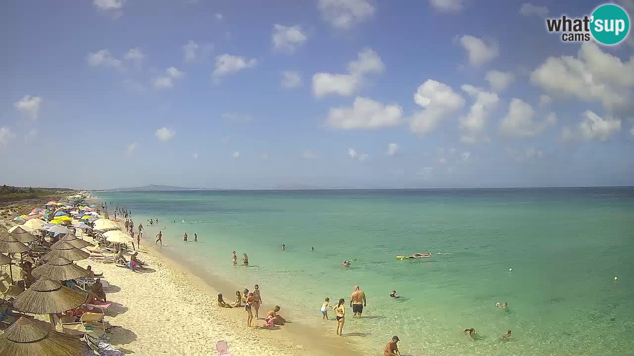 Strand Le Saline webcam Stintino – Sardinien