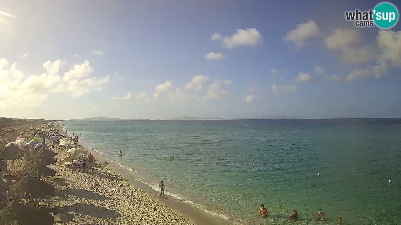 Plaža Le Saline web kamera Stintino – Sardinija