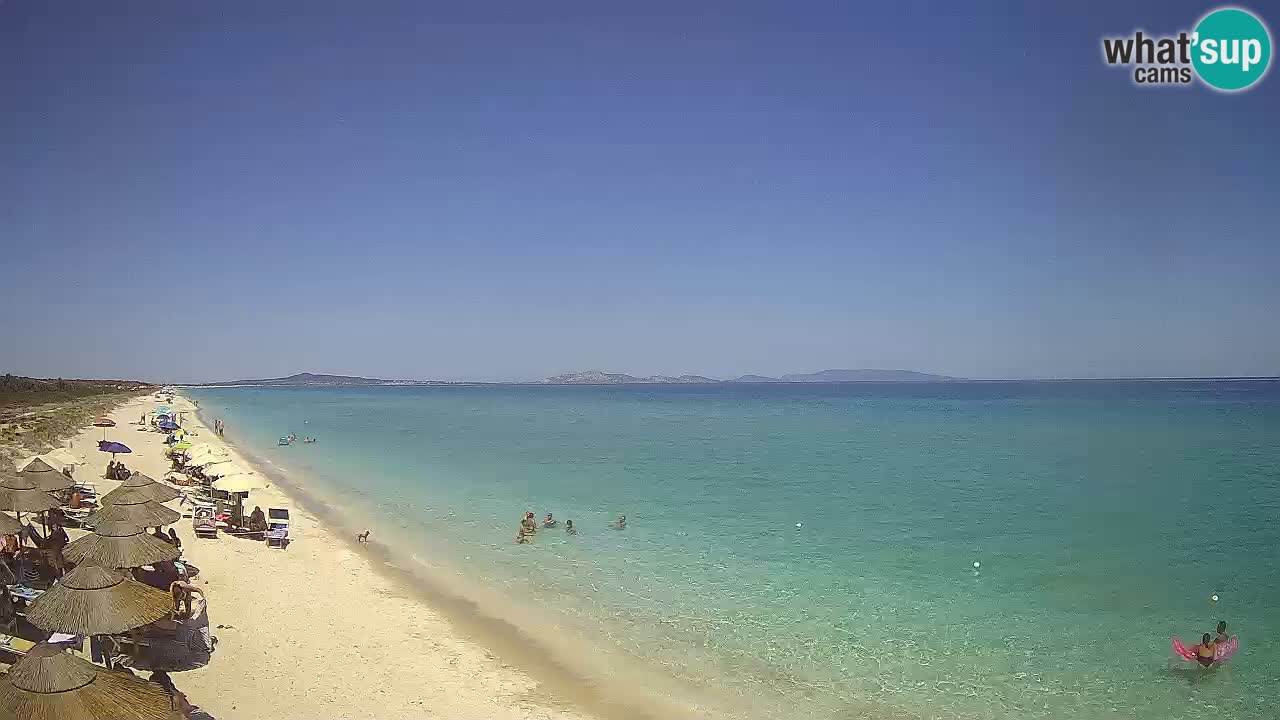 Strand Le Saline webcam Stintino – Sardinien