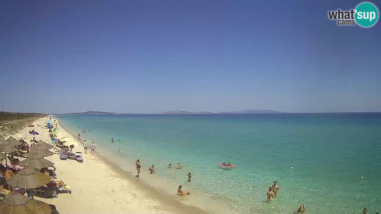 Strand Le Saline webcam Stintino – Sardinien