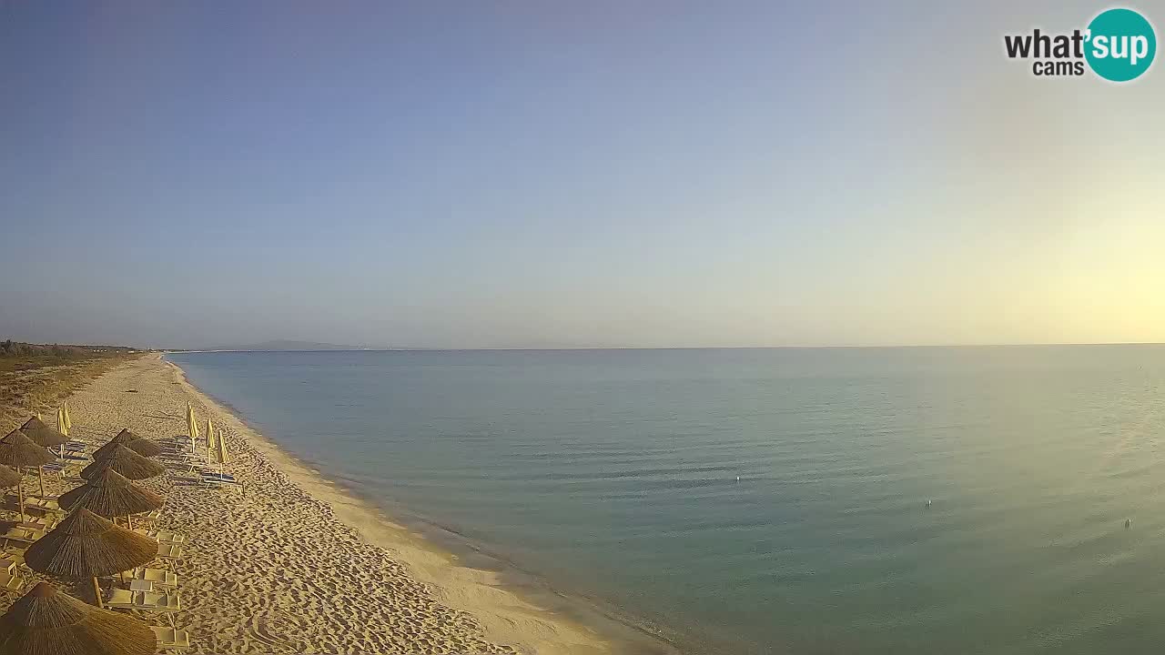 Beach Le Saline webcam live Stintino – Sardinia
