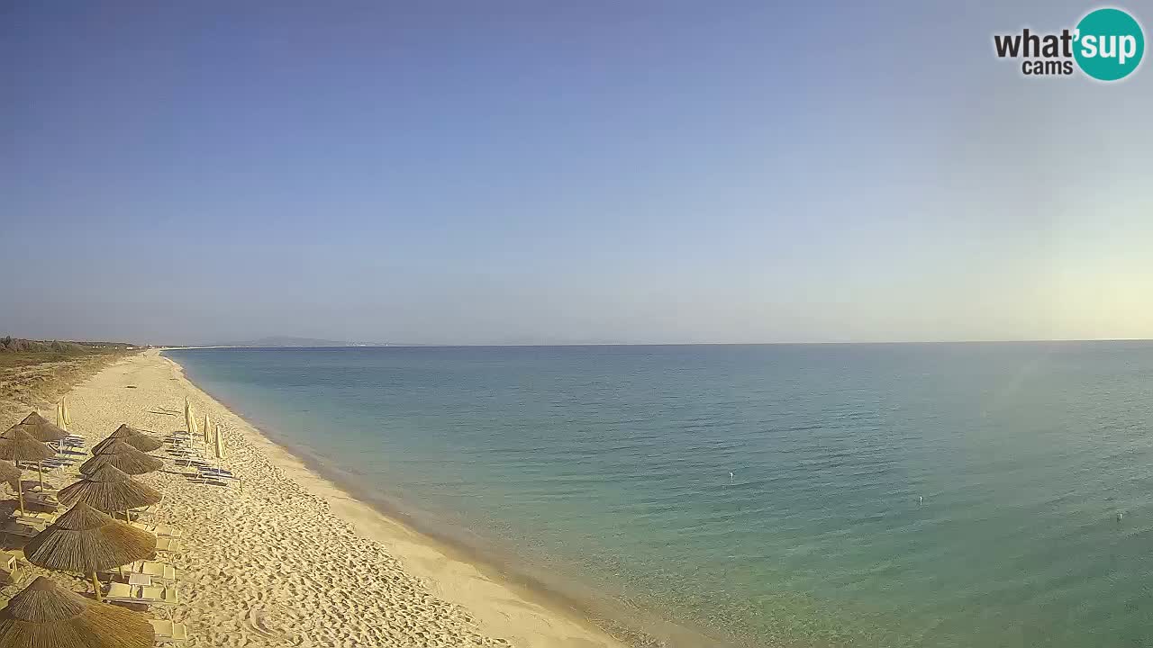 Plaža Le Saline spletna kamera Stintino – Sardinija