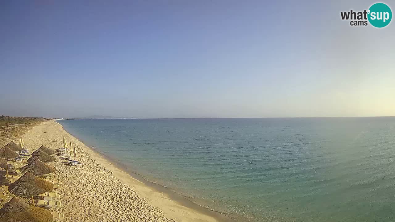 Strand Le Saline webcam Stintino – Sardinien