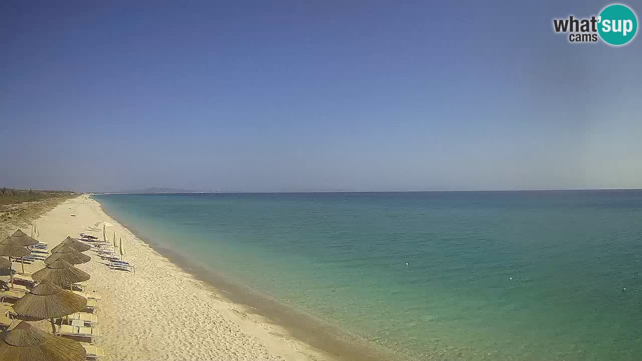 Beach Le Saline webcam live Stintino – Sardinia