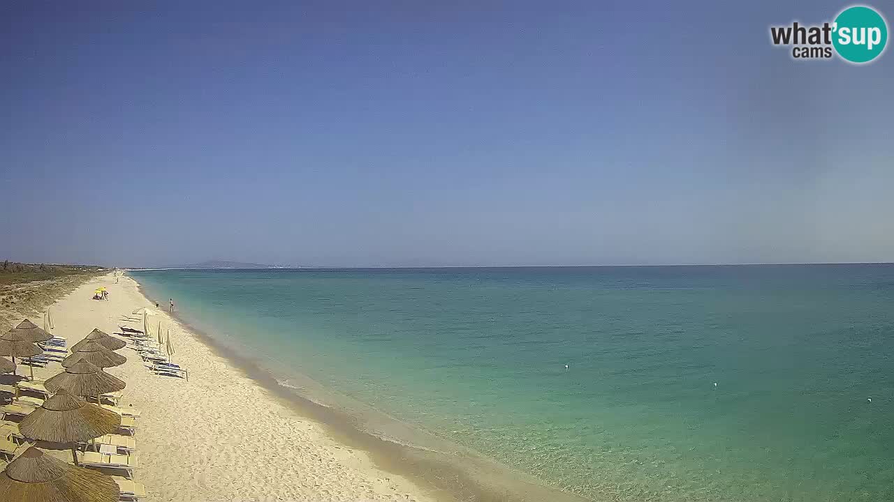 Plage Le Saline Live cam Stintino – Sardaigne