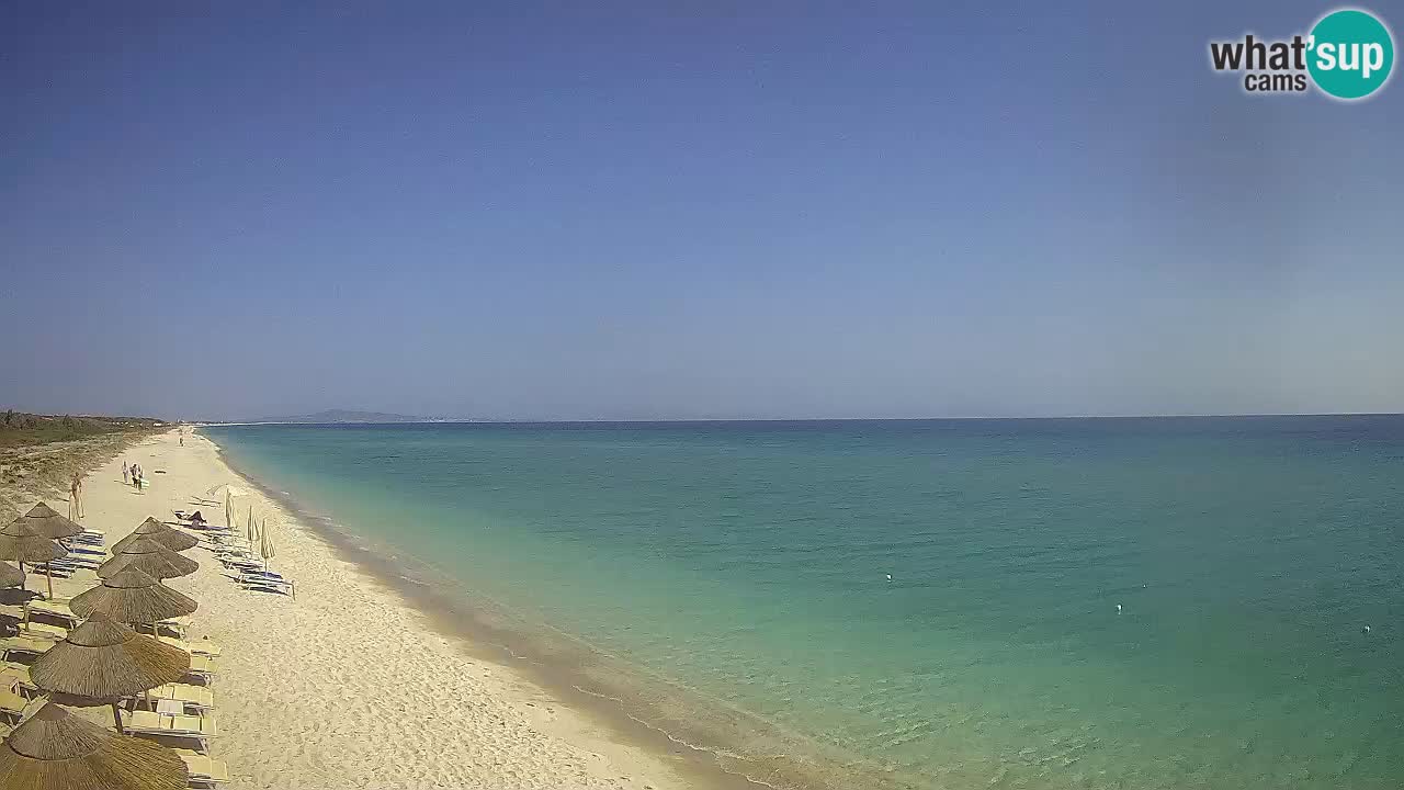 Plaža Le Saline spletna kamera Stintino – Sardinija
