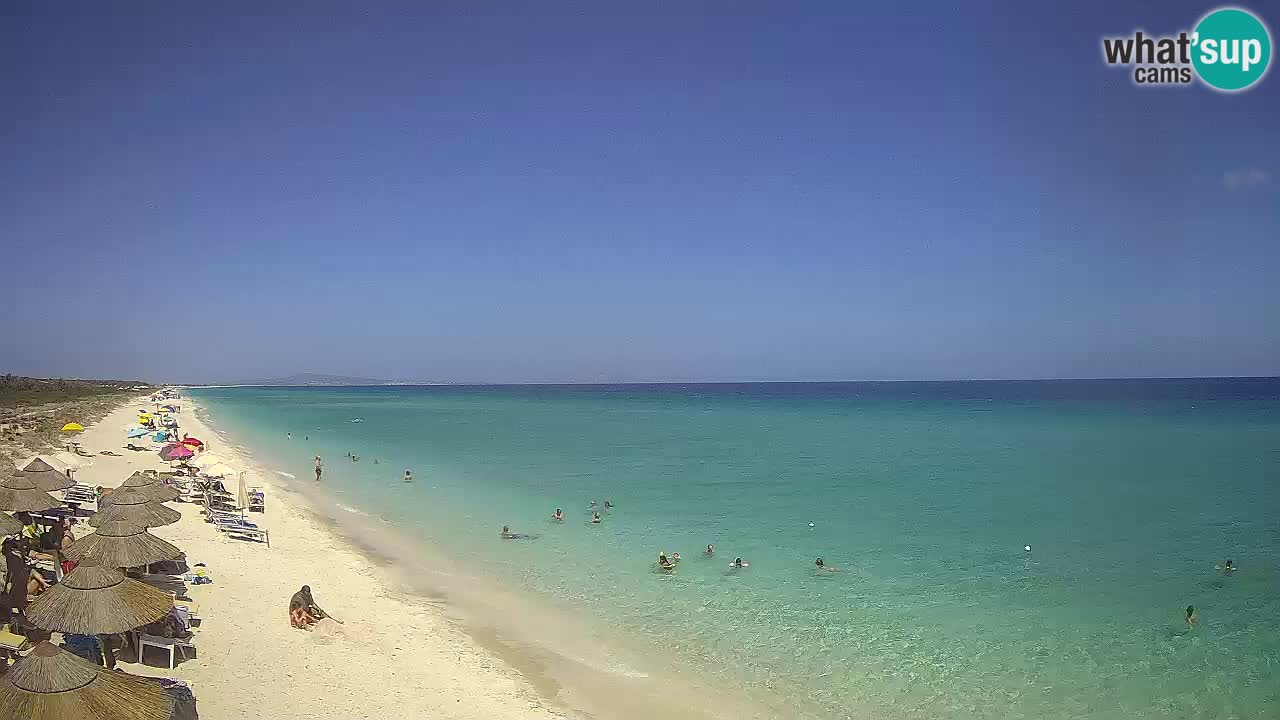 Spiaggia Le Saline webcam Stintino – Sardegna