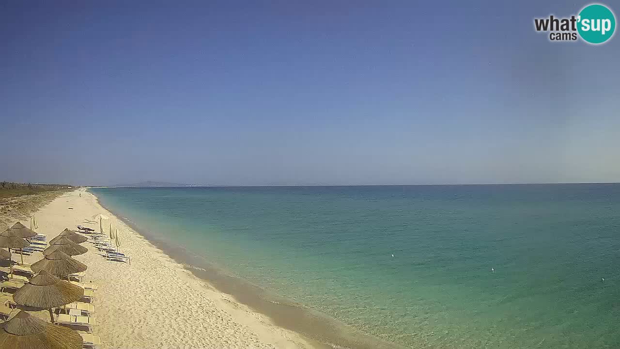 Strand Le Saline webcam Stintino – Sardinien