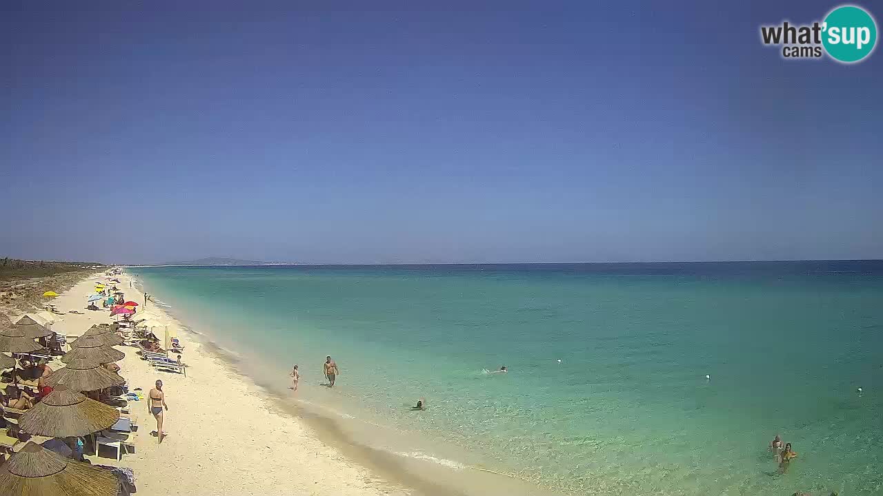 Spiaggia Le Saline webcam Stintino – Sardegna