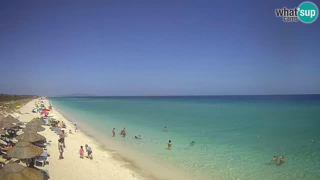 Playa Le Saline camera en vivo Stintino – Cerdeña