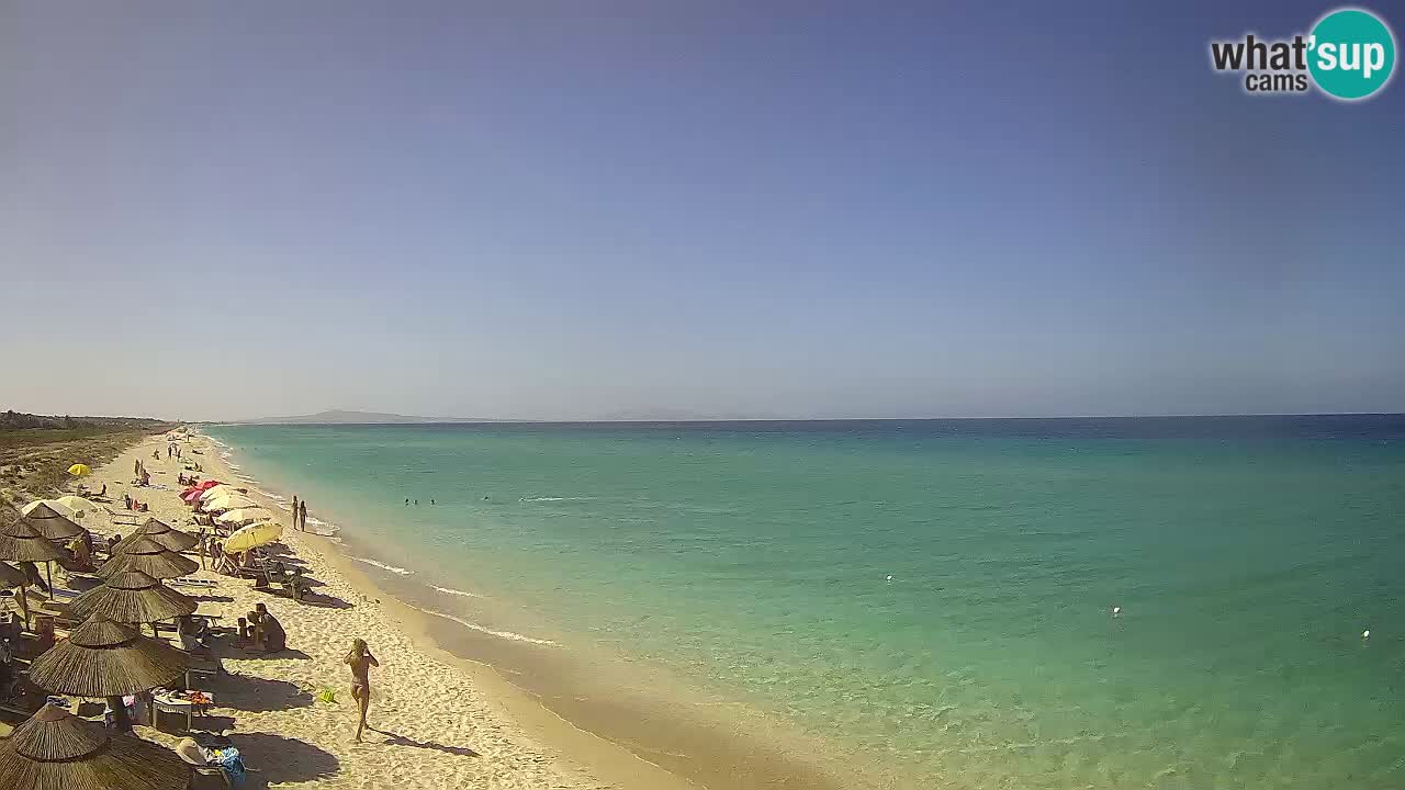 Plaža Le Saline spletna kamera Stintino – Sardinija