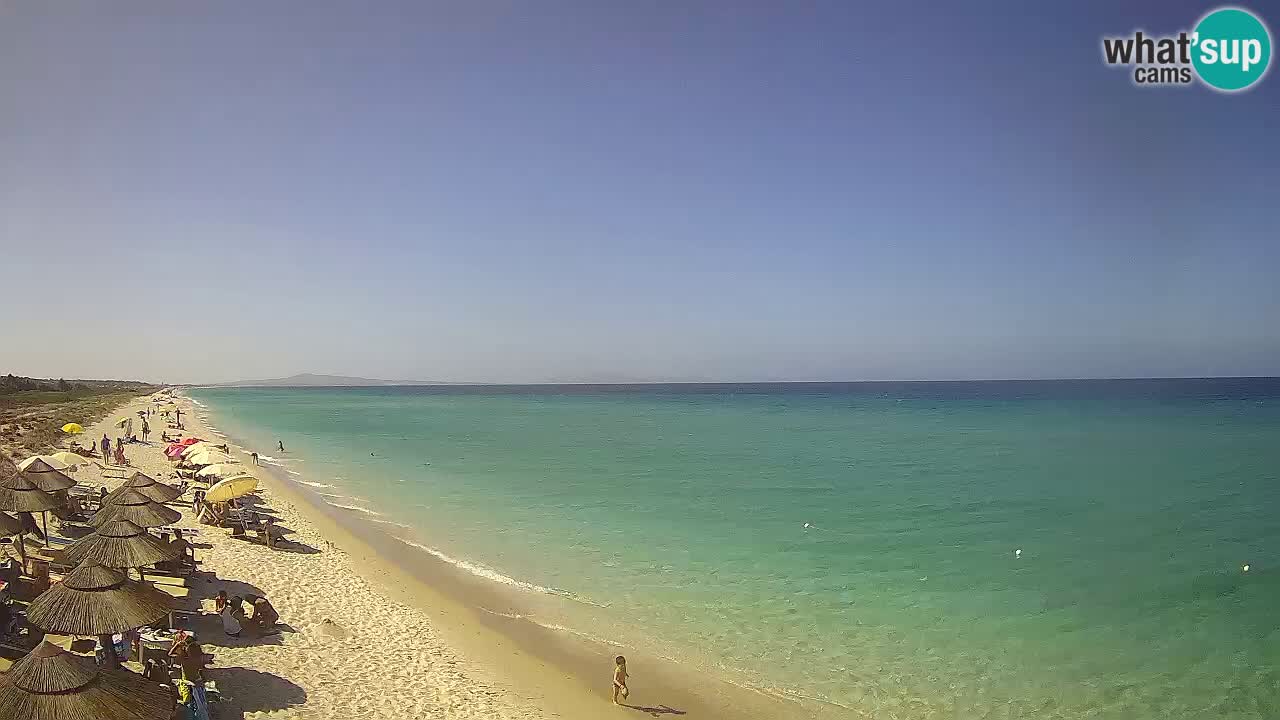 Strand Le Saline webcam Stintino – Sardinien