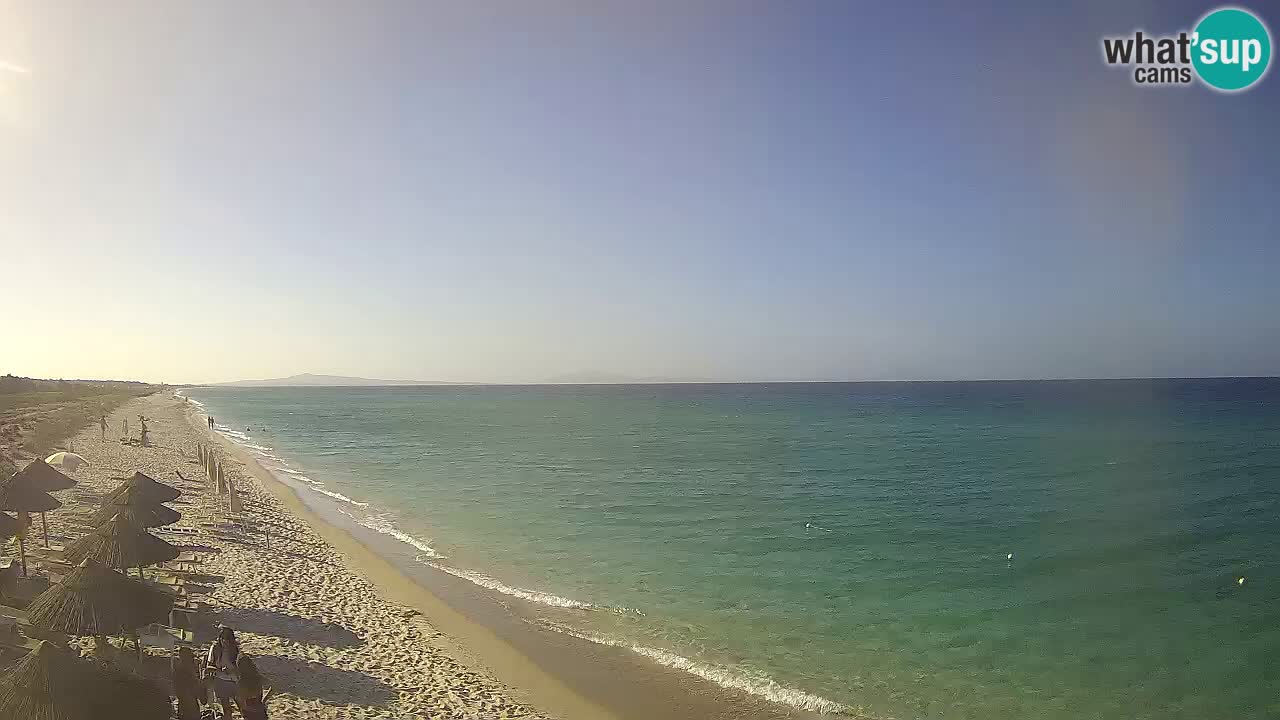 Plaža Le Saline spletna kamera Stintino – Sardinija