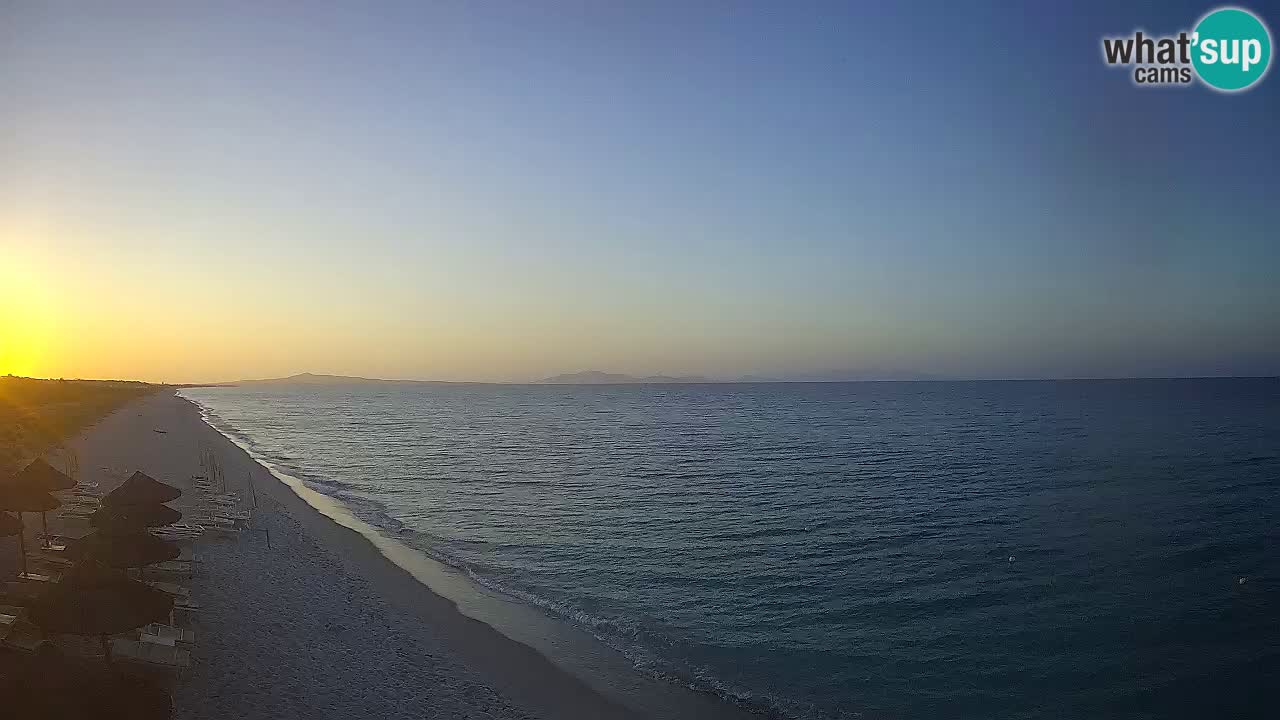 Playa Le Saline camera en vivo Stintino – Cerdeña