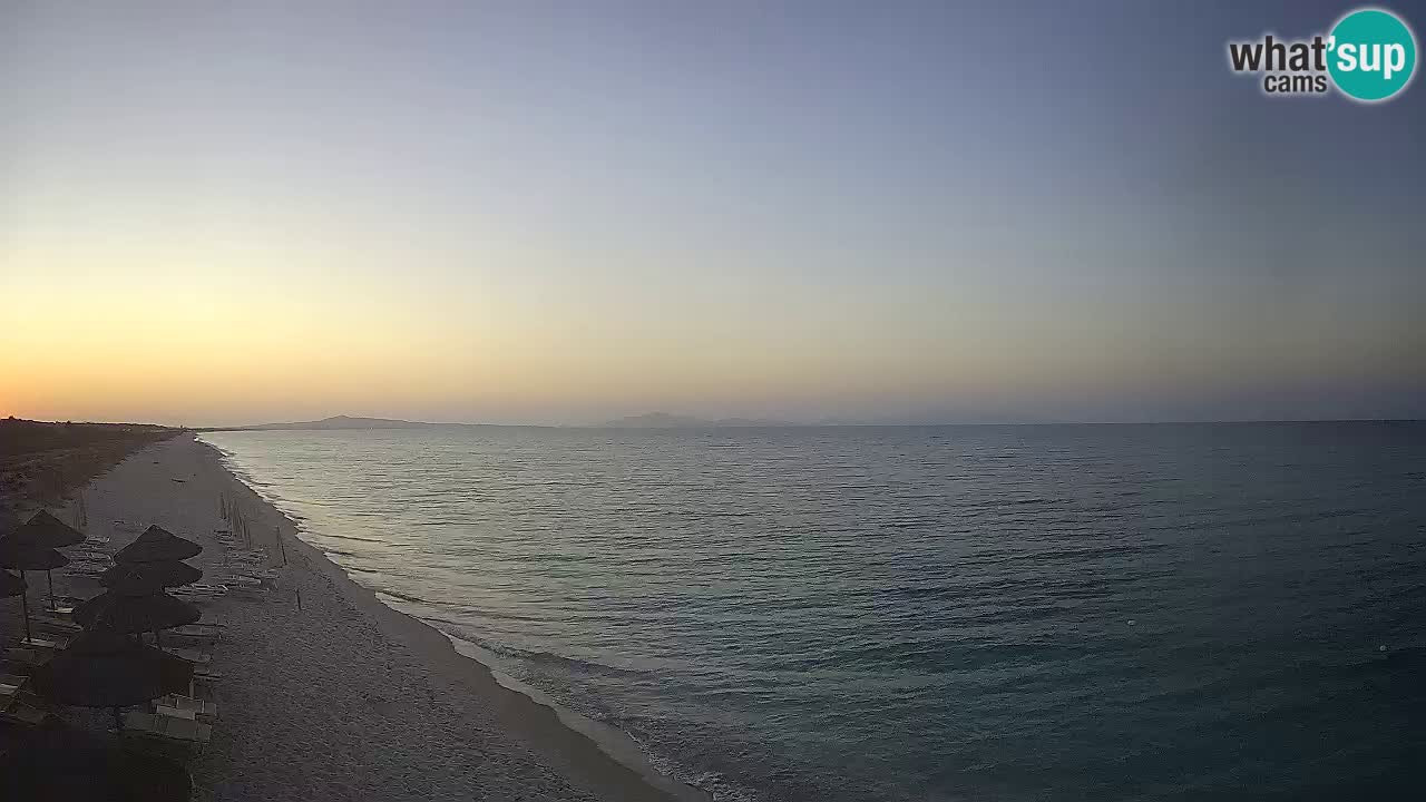 Plage Le Saline Live cam Stintino – Sardaigne