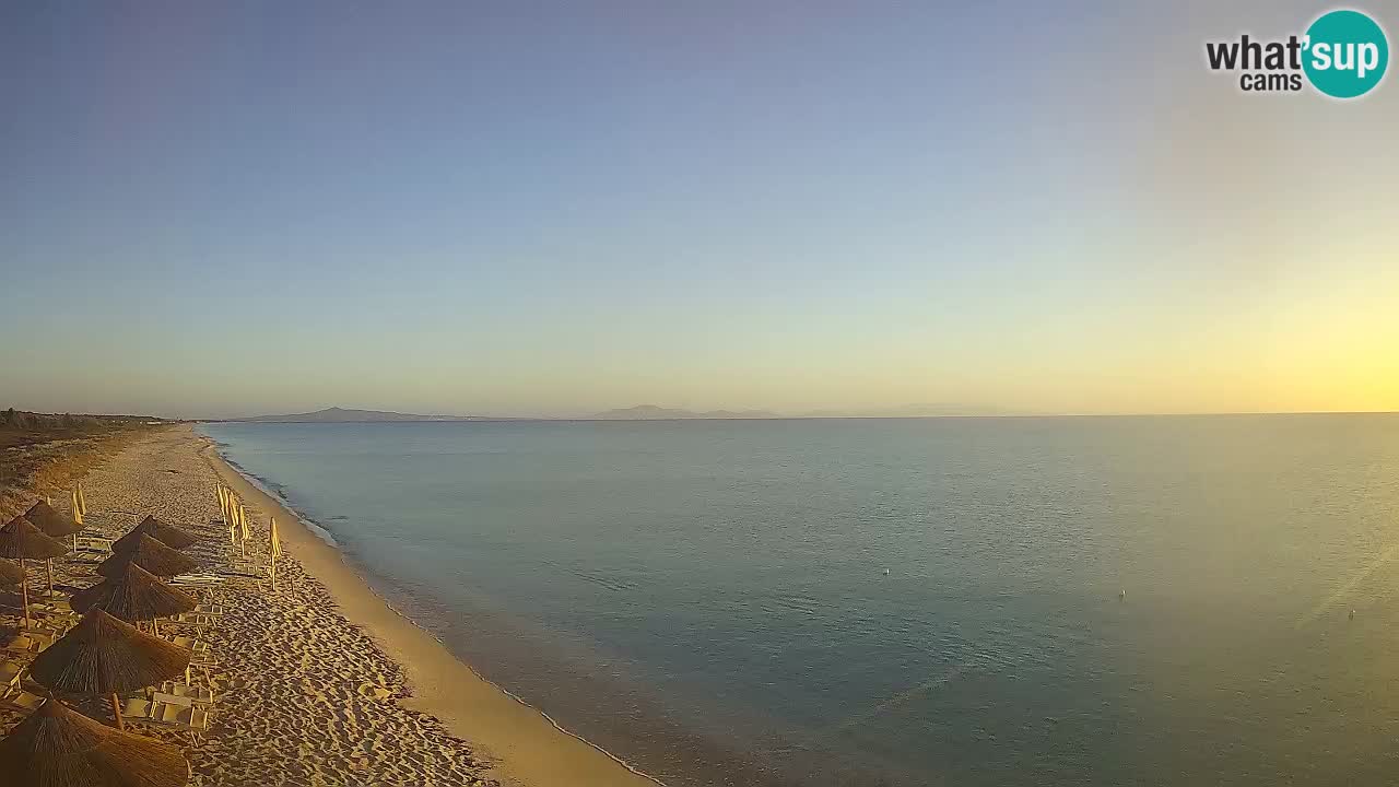 Strand Le Saline webcam Stintino – Sardinien