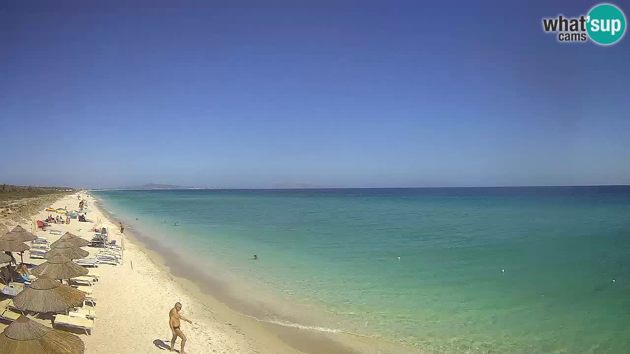 Beach Le Saline webcam live Stintino – Sardinia