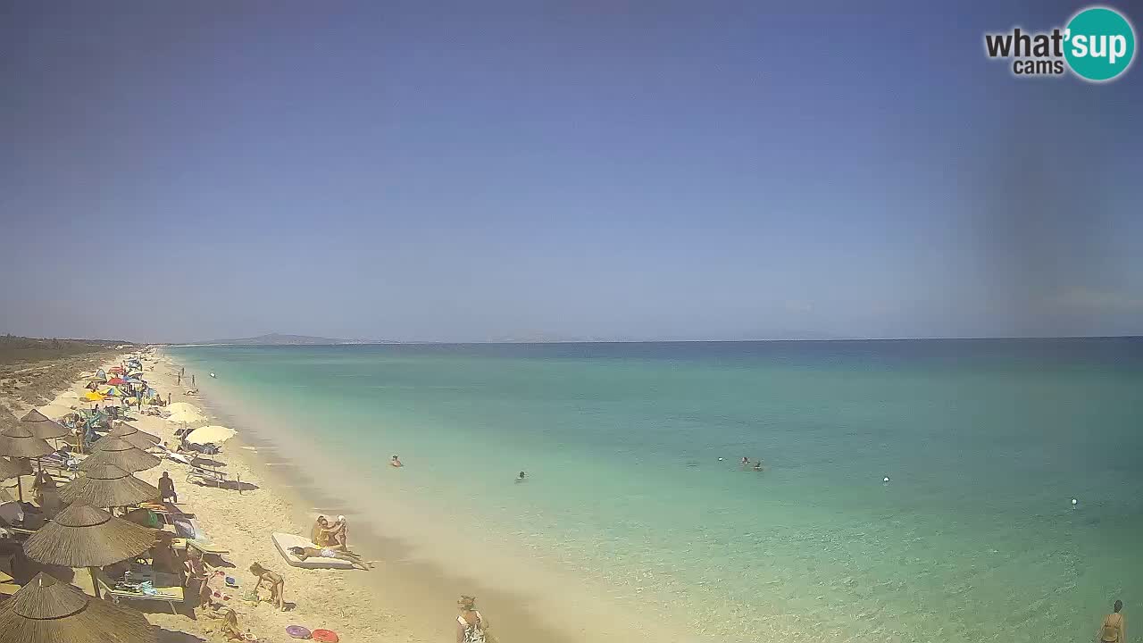 Spiaggia Le Saline webcam Stintino – Sardegna