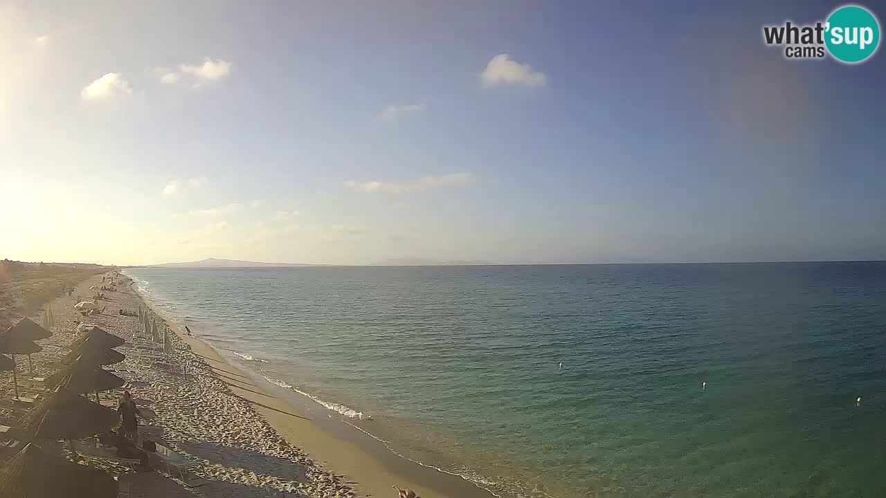Beach Le Saline webcam live Stintino – Sardinia