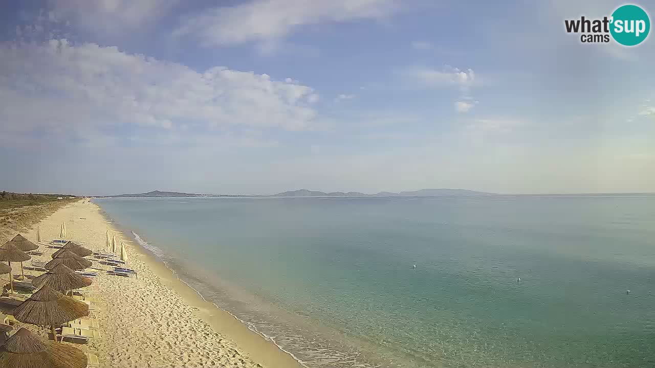 Plaža Le Saline web kamera Stintino – Sardinija