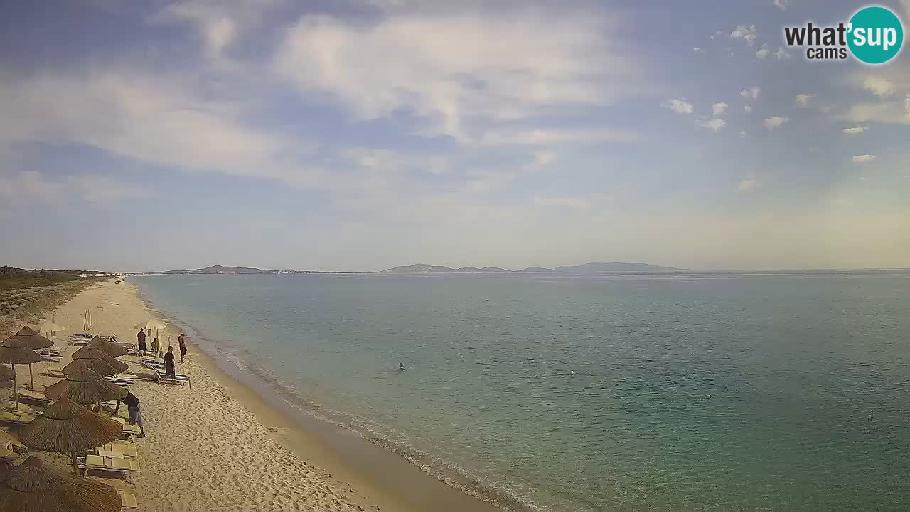 Strand Le Saline webcam Stintino – Sardinien