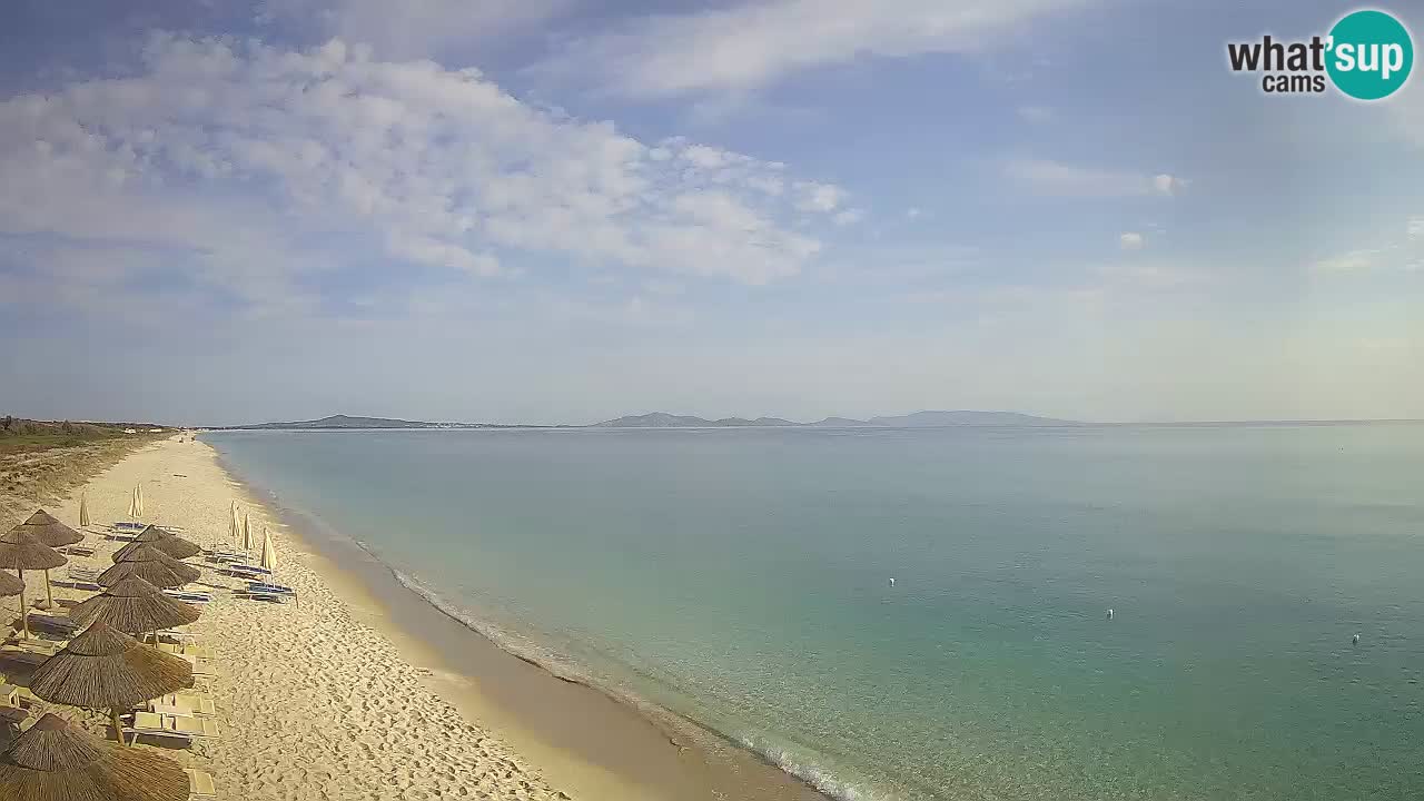 Beach Le Saline webcam live Stintino – Sardinia