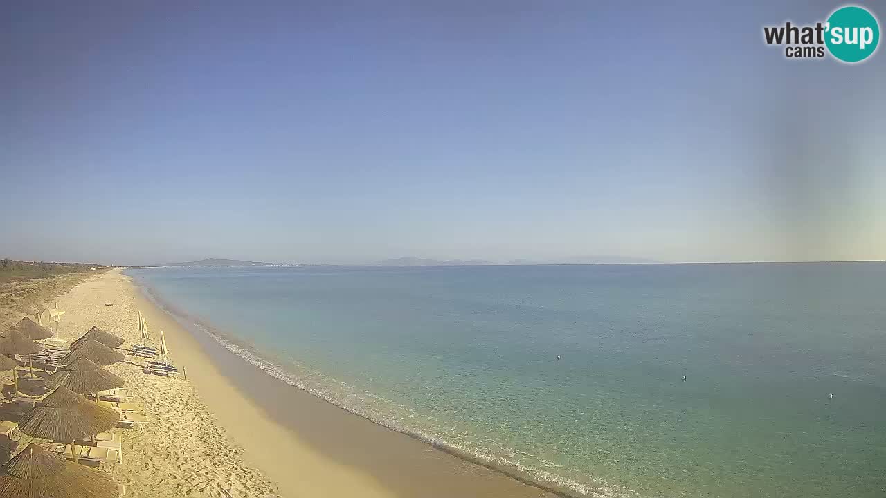 Strand Le Saline webcam Stintino – Sardinien