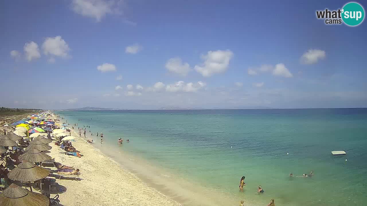 Spiaggia Le Saline webcam Stintino – Sardegna