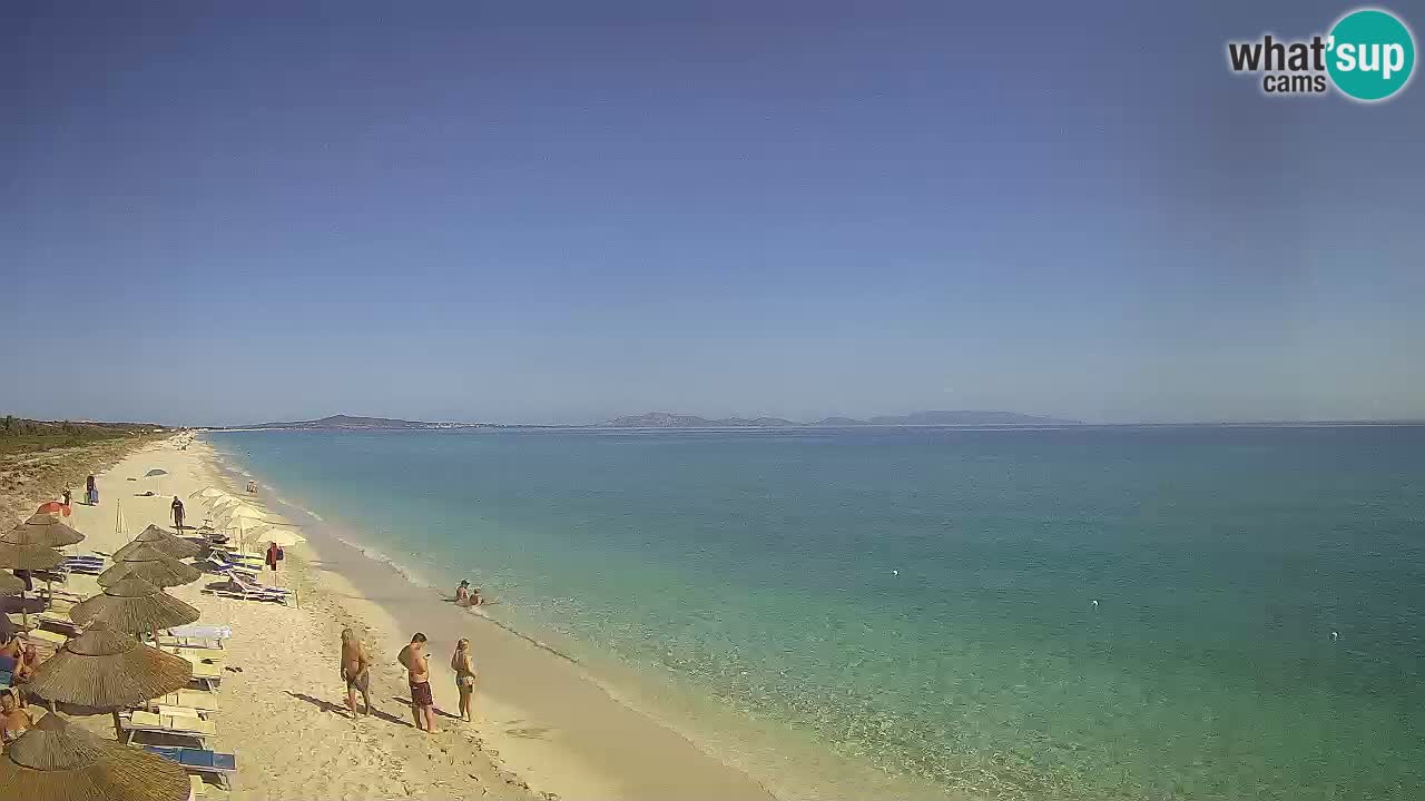 Strand Le Saline webcam Stintino – Sardinien