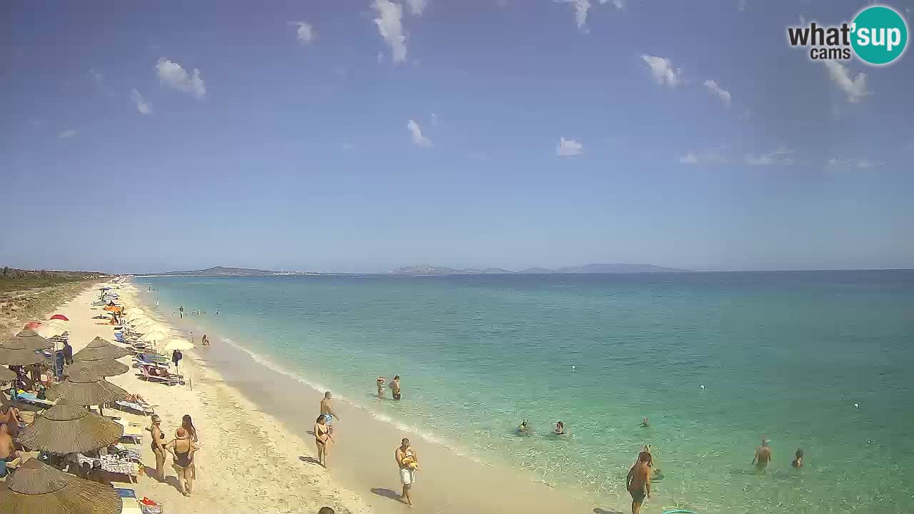Strand Le Saline webcam Stintino – Sardinien