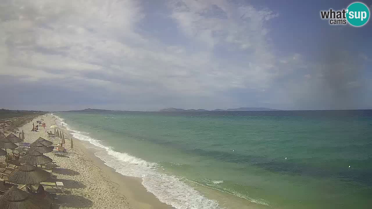 Beach Le Saline webcam live Stintino – Sardinia