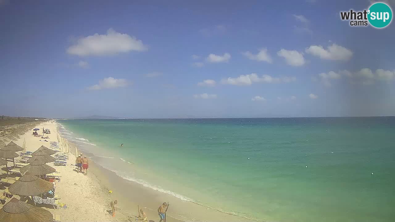 Spiaggia Le Saline webcam Stintino – Sardegna