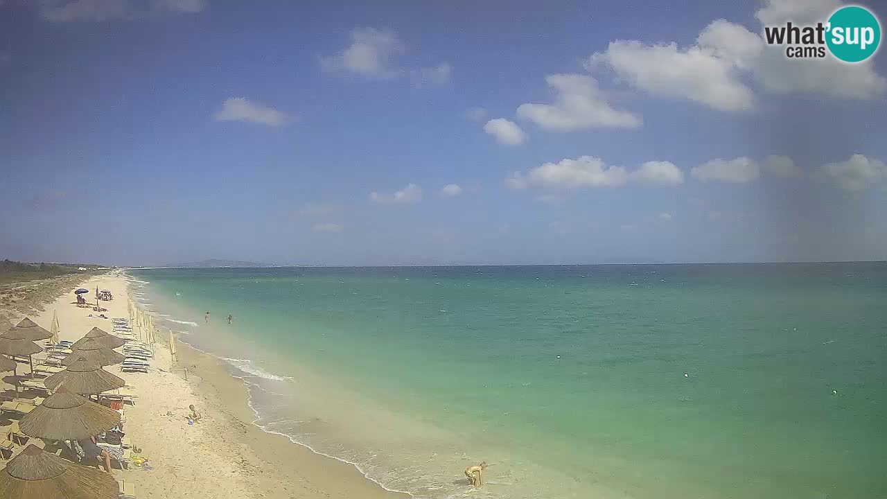 Plaža Le Saline spletna kamera Stintino – Sardinija