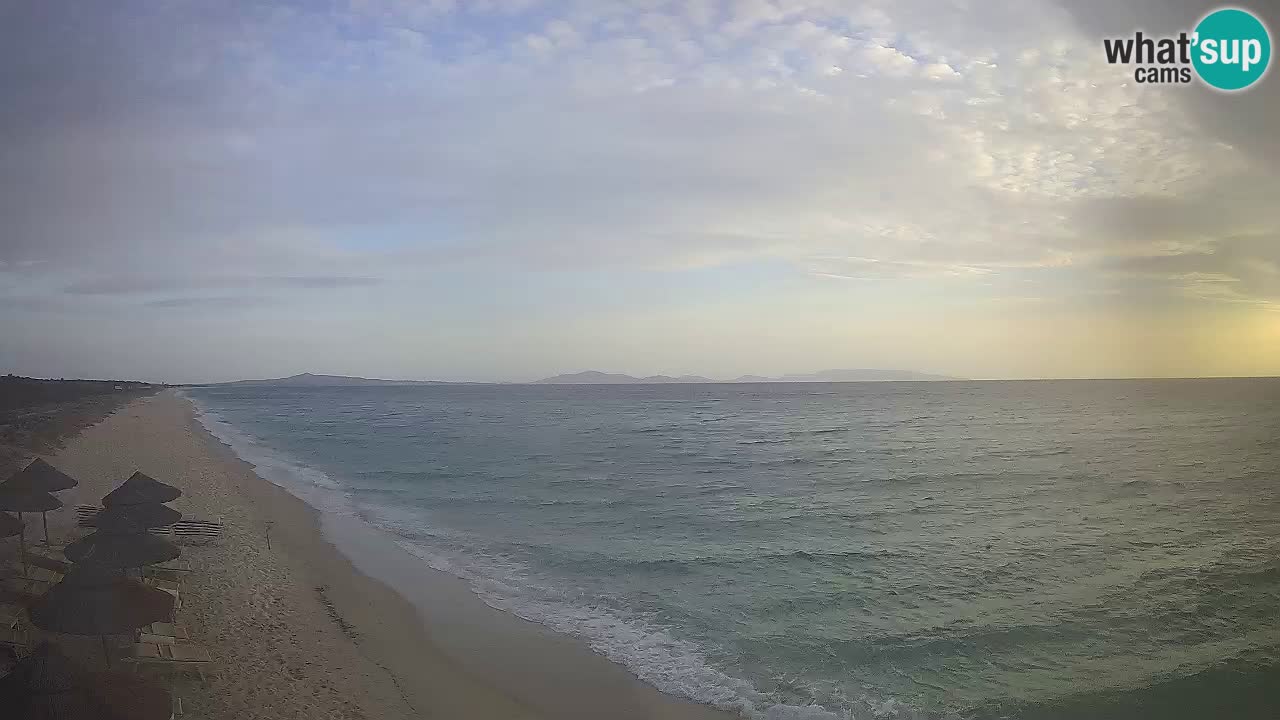 Beach Le Saline webcam live Stintino – Sardinia