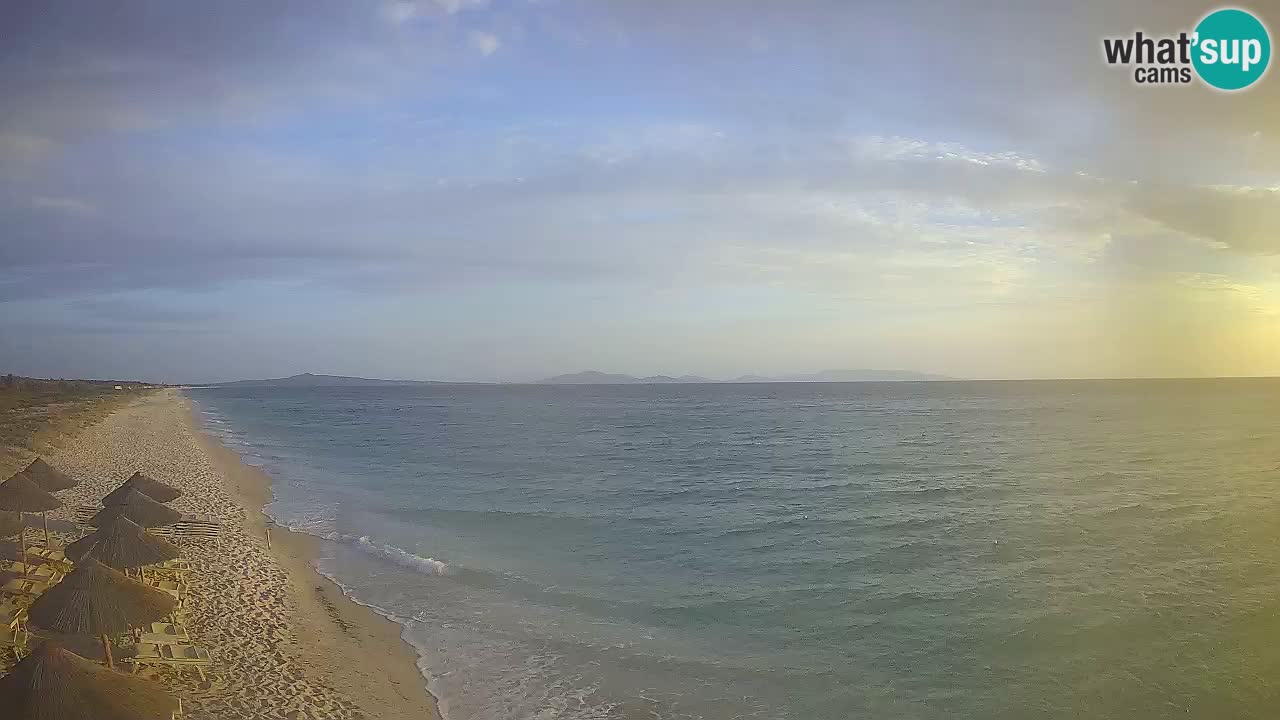 Beach Le Saline webcam live Stintino – Sardinia