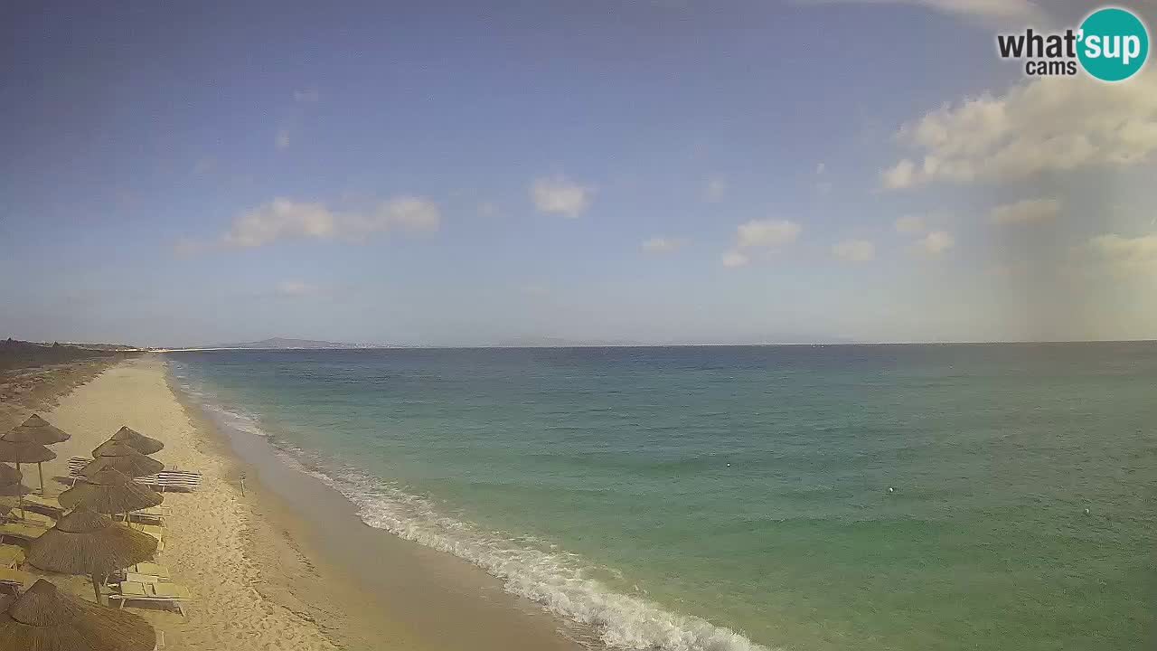 Beach Le Saline webcam live Stintino – Sardinia