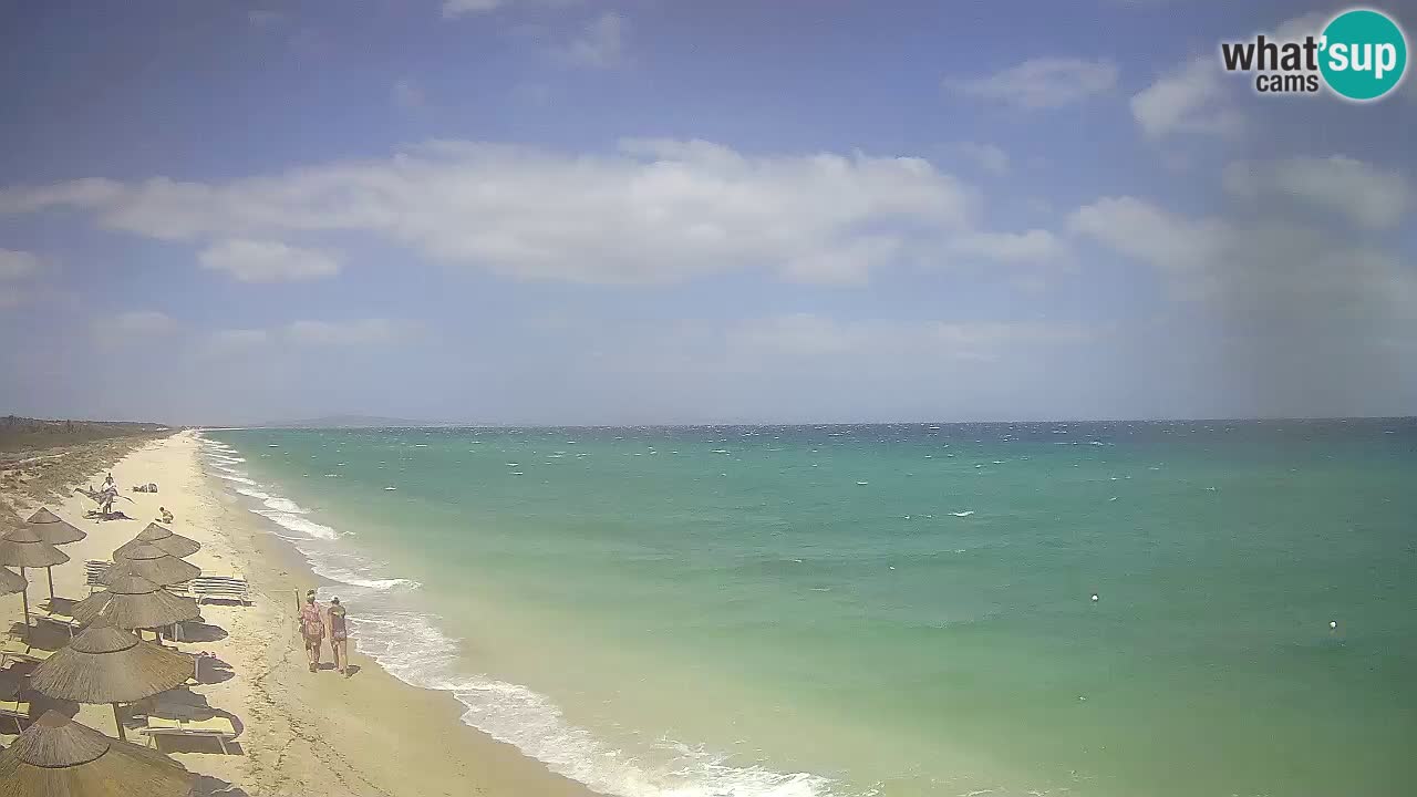 Beach Le Saline webcam live Stintino – Sardinia