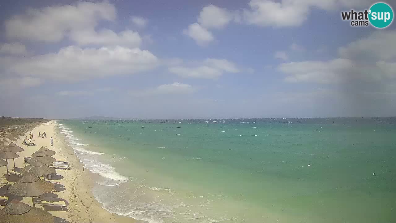 Spiaggia Le Saline webcam Stintino – Sardegna
