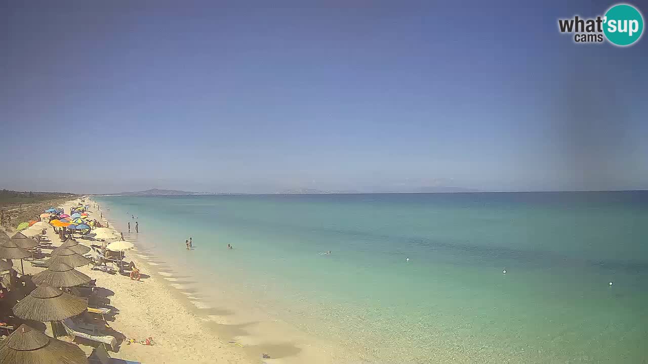 Plaža Le Saline spletna kamera Stintino – Sardinija