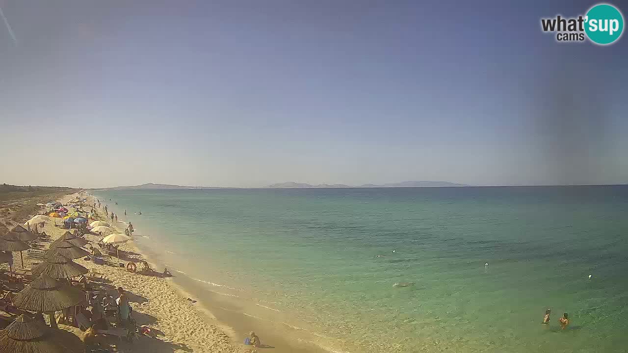 Playa Le Saline camera en vivo Stintino – Cerdeña