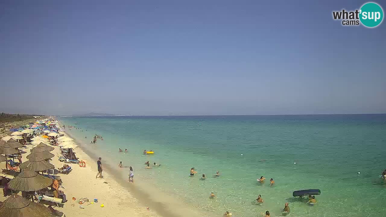 Beach Le Saline webcam live Stintino – Sardinia