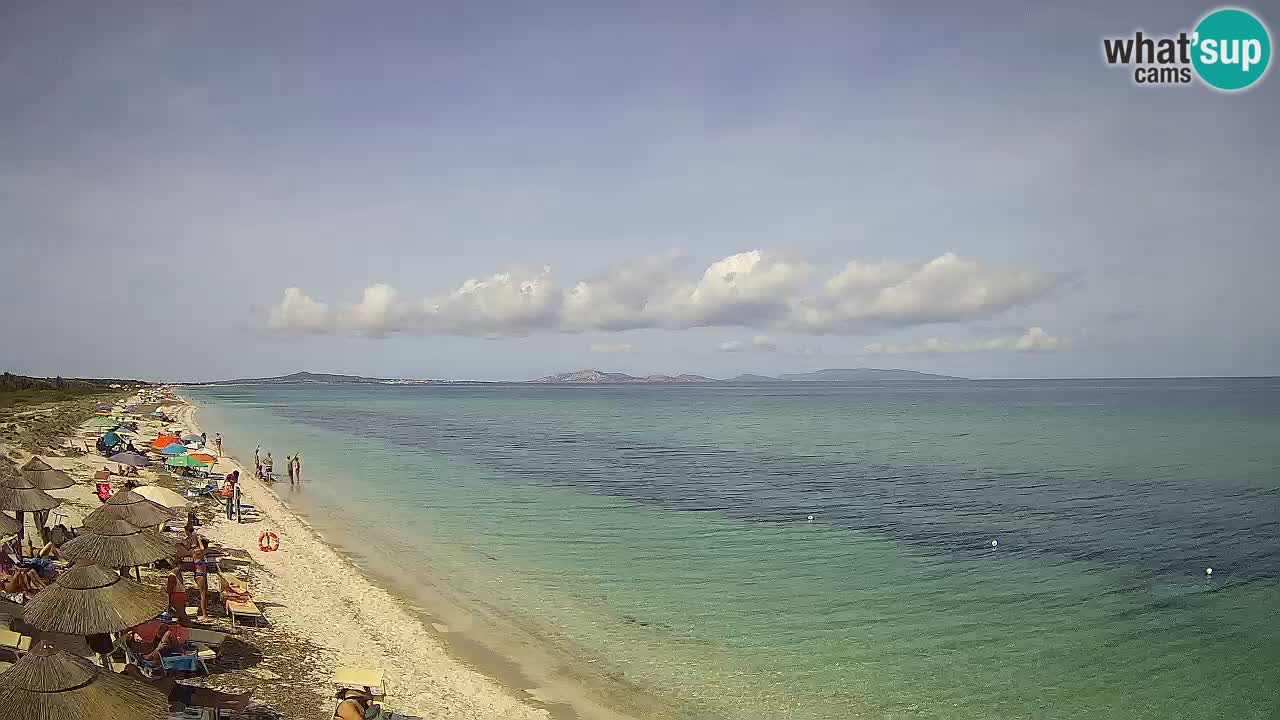 Spiaggia Le Saline webcam Stintino – Sardegna
