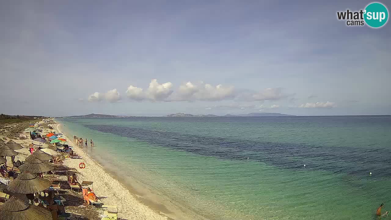 Strand Le Saline webcam Stintino – Sardinien