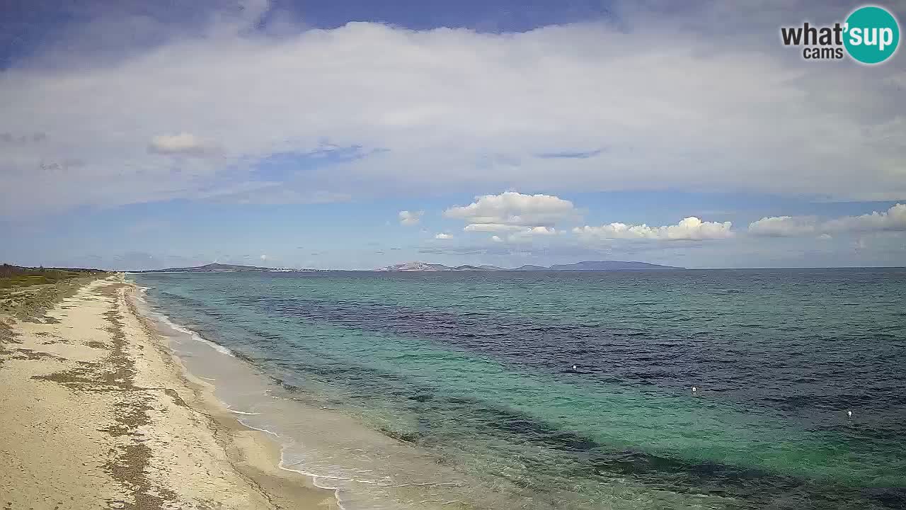 Beach Le Saline webcam live Stintino – Sardinia