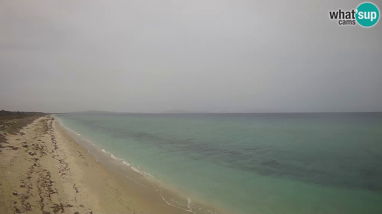 Strand Le Saline webcam Stintino – Sardinien
