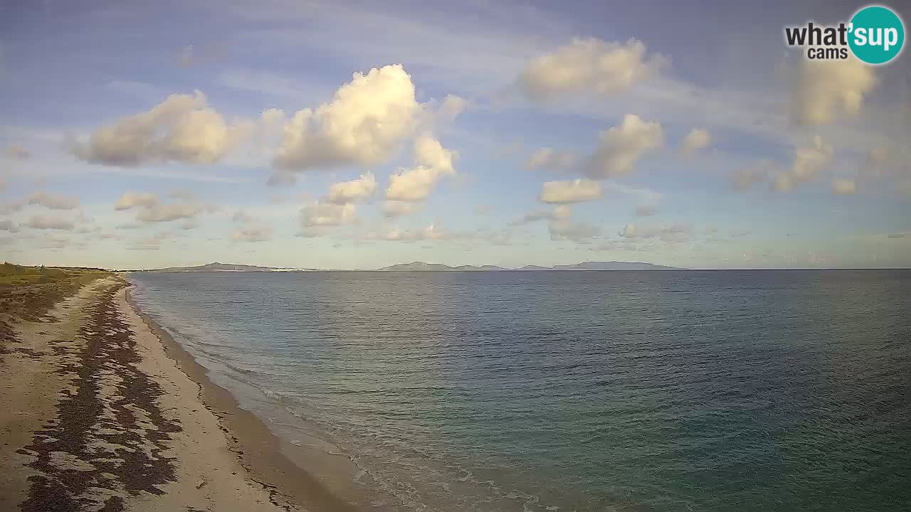 Beach Le Saline webcam live Stintino – Sardinia