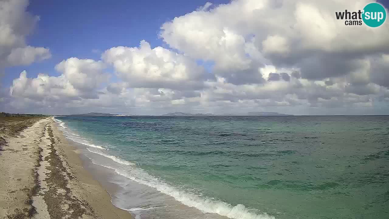 Beach Le Saline webcam live Stintino – Sardinia
