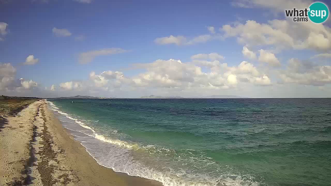 Plaža Le Saline web kamera Stintino – Sardinija