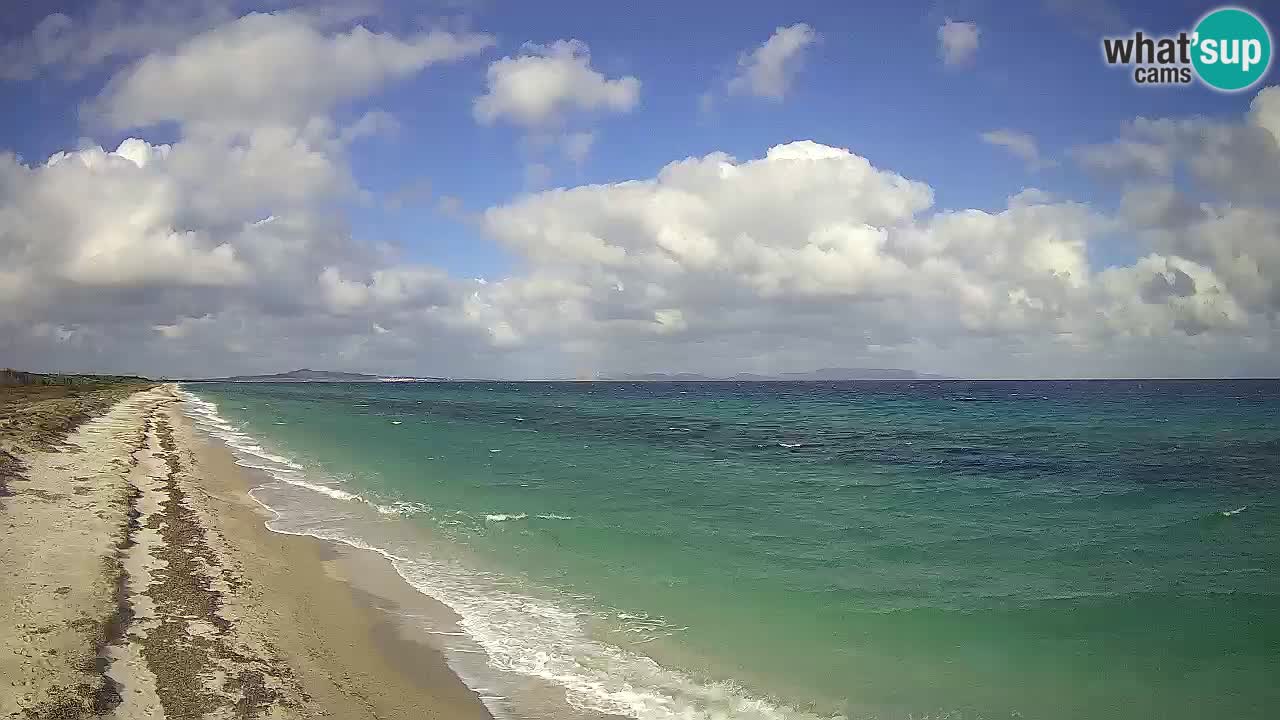 Strand Le Saline webcam Stintino – Sardinien